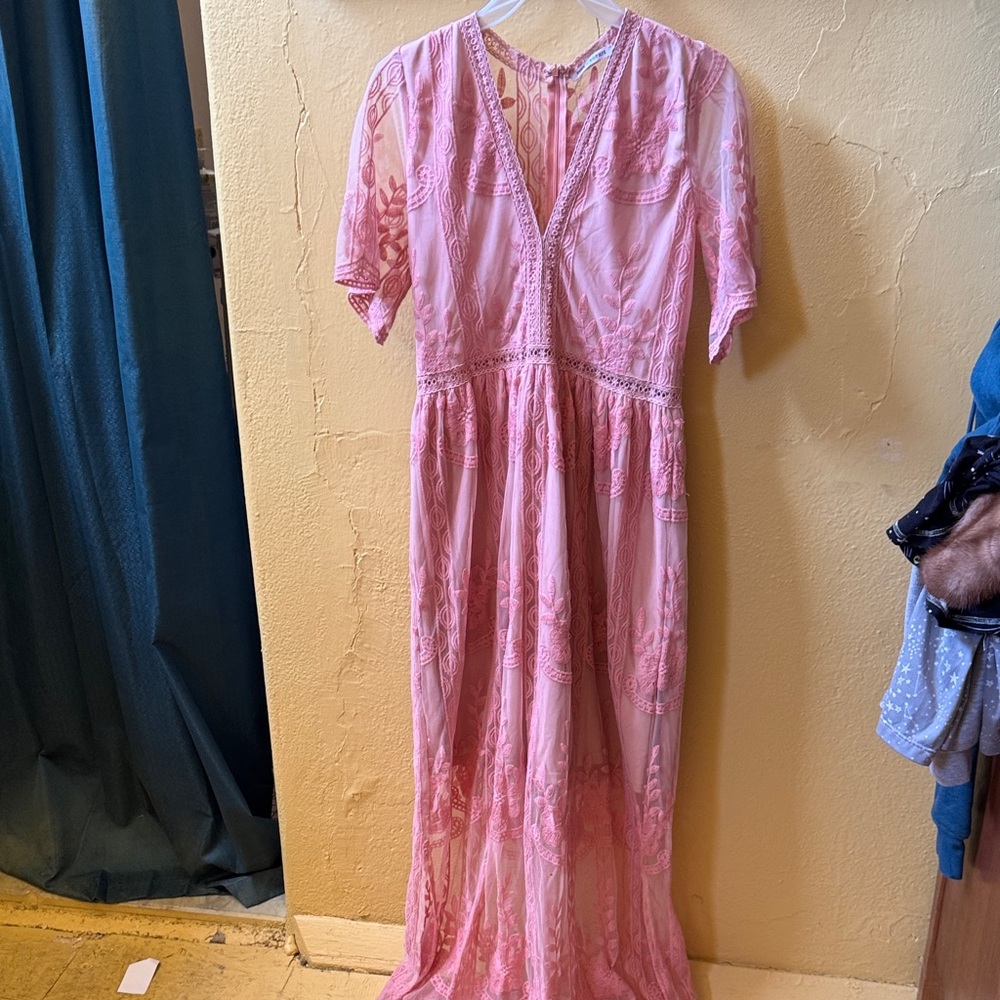 Pink + Sophie Sheer Pink Lace Dress